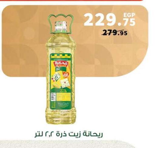 available at Panda  in Egypt - Cairo