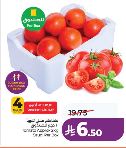 Tomato from Saudi Arabia available at LULU Hypermarket in KSA, Saudi Arabia, Saudi - Al Khobar