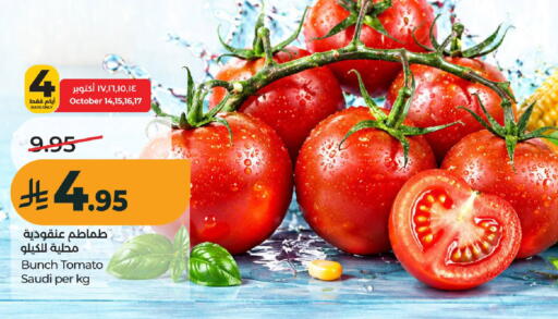 Tomato from Saudi Arabia available at لولو هايبرماركت in مملكة العربية السعودية, السعودية, سعودية - عنيزة