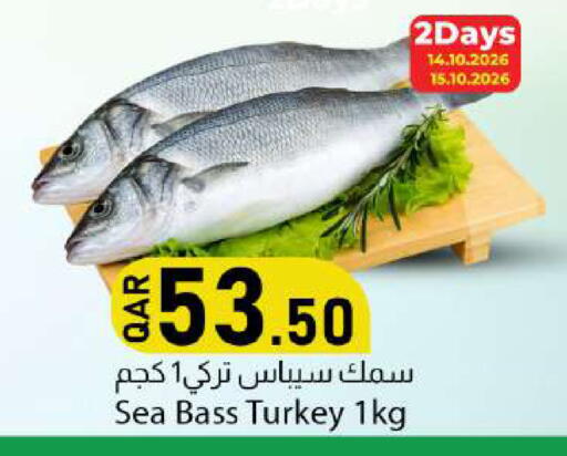 available at دانا ماركت in قطر - الريان