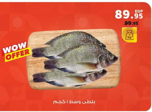 available at Panda  in Egypt - Cairo