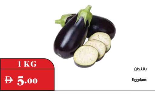 Eggplant متوفر لدى تروليز سوبرماركت في الإمارات العربية المتحدة , الامارات - دبي