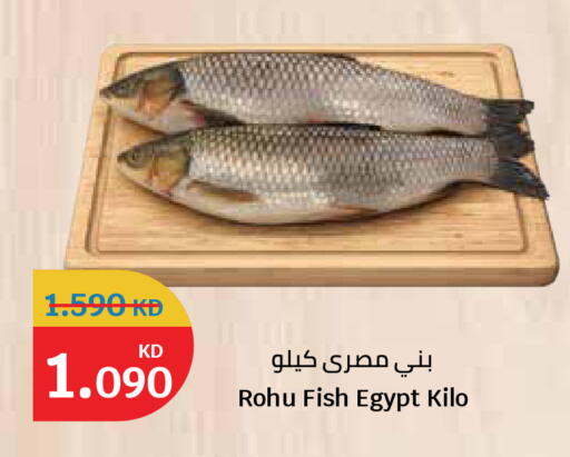 available at City Hypermarket in Kuwait - Kuwait City