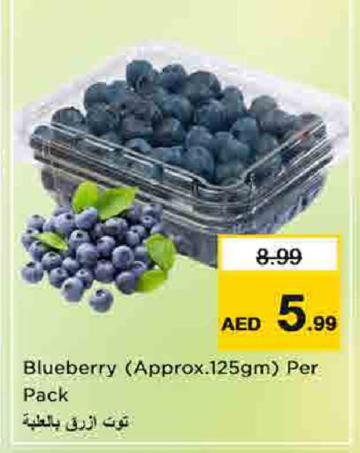 Blueberry BlueBerry available at نستو هايبرماركت in الإمارات العربية المتحدة , الامارات - أم القيوين‎