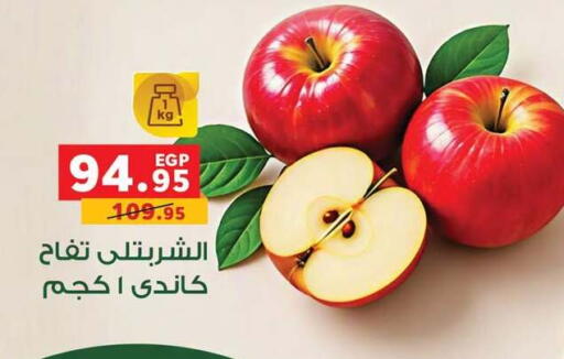 available at Panda  in Egypt - Cairo