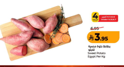 Sweet Potato from Egypt available at لولو هايبرماركت in مملكة العربية السعودية, السعودية, سعودية - المدينة المنورة