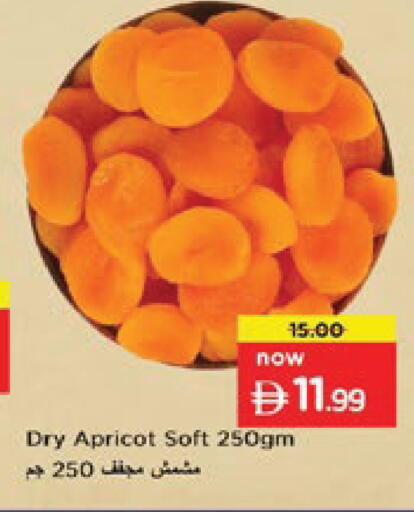 Apricot available at Nesto Hypermarket in UAE - Ras al Khaimah
