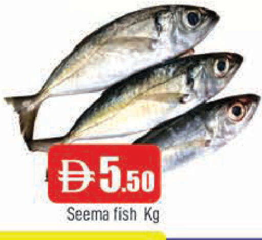 available at AL MADINA in UAE - Sharjah / Ajman