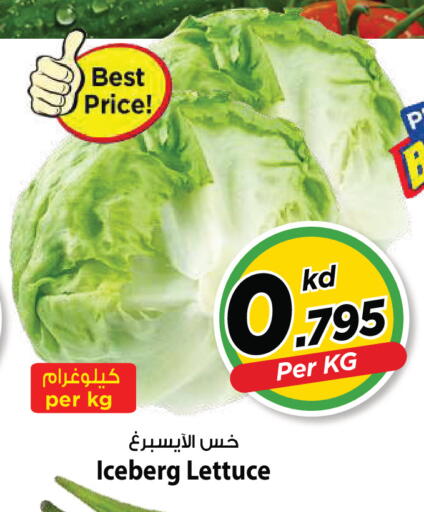 Lettuce available at Mark & Save in Kuwait - Kuwait City