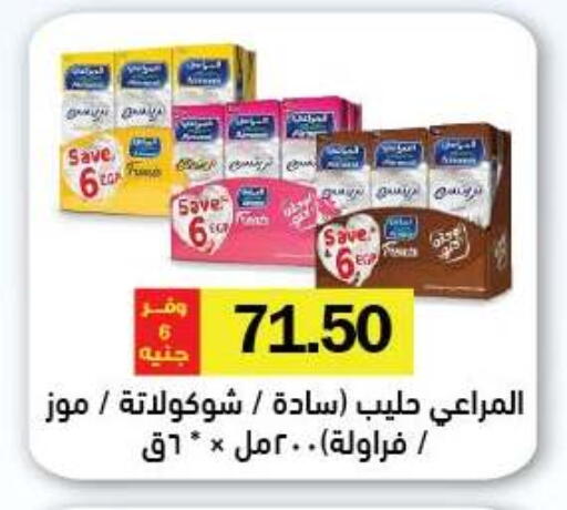 available at رويال هاوس in Egypt - القاهرة