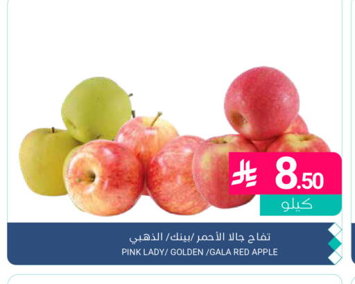 Apple available at اسواق المنتزه in مملكة العربية السعودية, السعودية, سعودية - القطيف‎