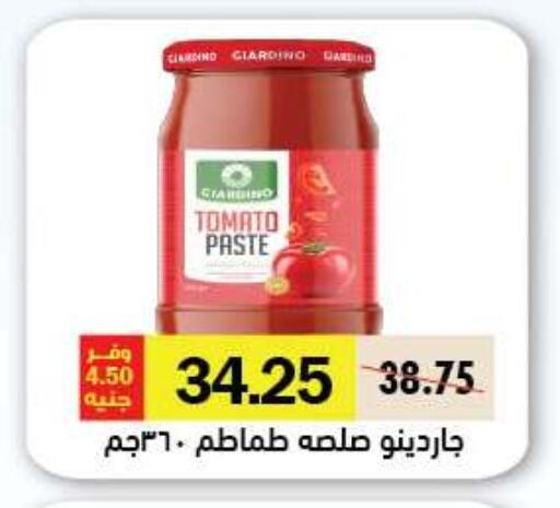 Tomato available at رويال هاوس in Egypt - القاهرة