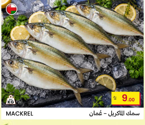 available at البلدي اليوم in قطر - أم صلال