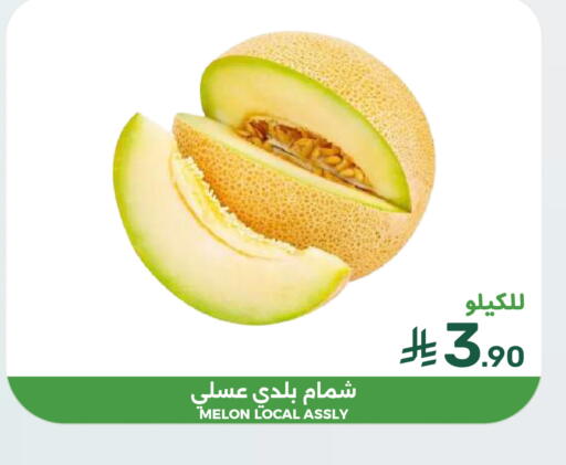 Melon available at  مـزايــا in مملكة العربية السعودية, السعودية, سعودية - القطيف‎