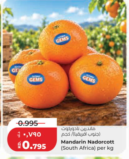 Mandarin from South Africa available at لولو هايبر ماركت in الكويت - مدينة الكويت