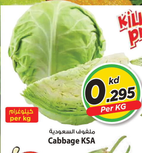 Cabbage available at Mark & Save in Kuwait - Kuwait City