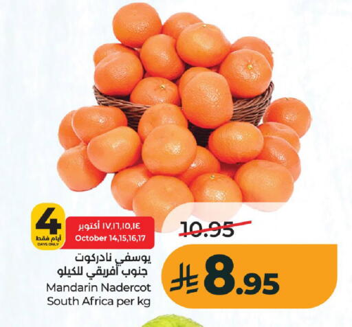 Mandarin from South Africa available at لولو هايبرماركت in مملكة العربية السعودية, السعودية, سعودية - عنيزة
