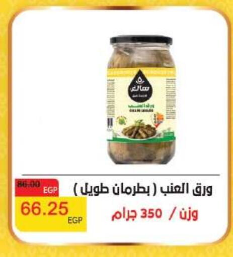 available at رويال هاوس in Egypt - القاهرة