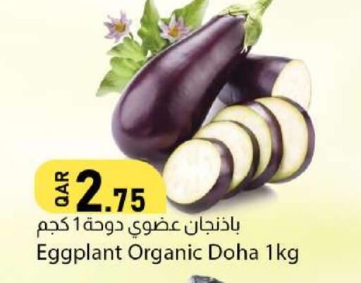 Eggplant from Qatar available at دانا ماركت in قطر - الريان
