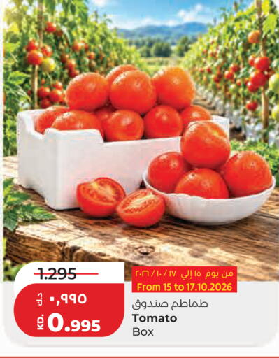 Tomato available at Lulu Hypermarket  in Kuwait - Kuwait City