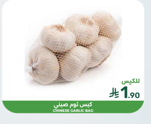 Garlic from China available at  مـزايــا in مملكة العربية السعودية, السعودية, سعودية - القطيف‎