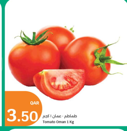 Tomato from Oman available at سيتي هايبرماركت in قطر - أم صلال