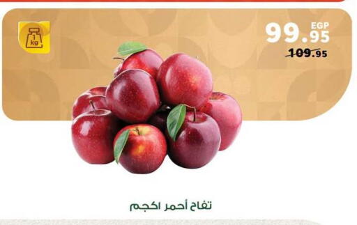 available at Panda  in Egypt - Cairo