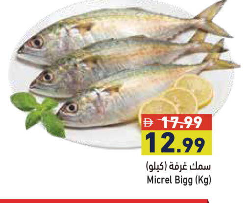 available at أسواق رامز in الإمارات العربية المتحدة , الامارات - أبو ظبي