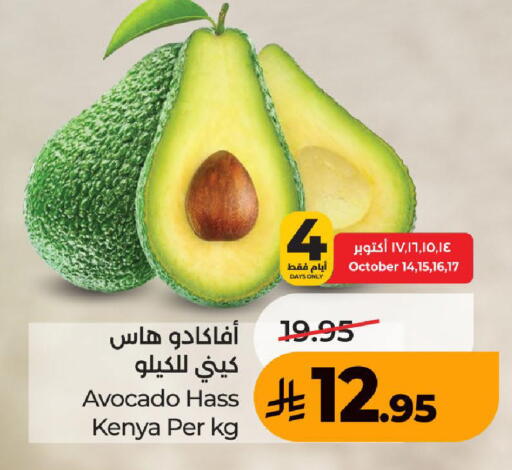 Avocado from Kenya available at لولو هايبرماركت in مملكة العربية السعودية, السعودية, سعودية - الطائف