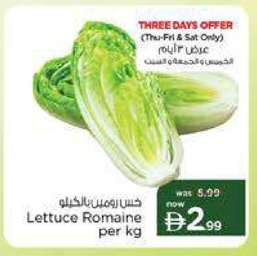 Lettuce available at نستو هايبرماركت in الإمارات العربية المتحدة , الامارات - دبي