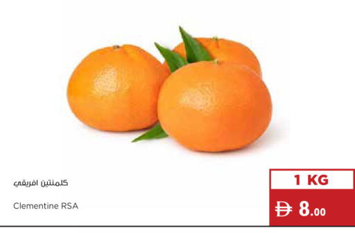 available at Istanbul Supermarket in UAE - Ras al Khaimah
