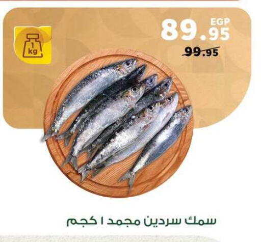 available at Panda  in Egypt - Cairo