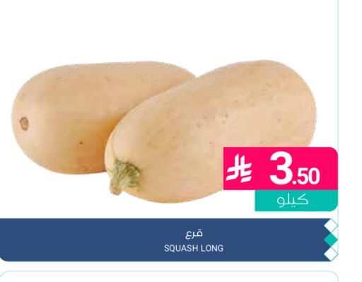 Squash available at اسواق المنتزه in مملكة العربية السعودية, السعودية, سعودية - القطيف‎