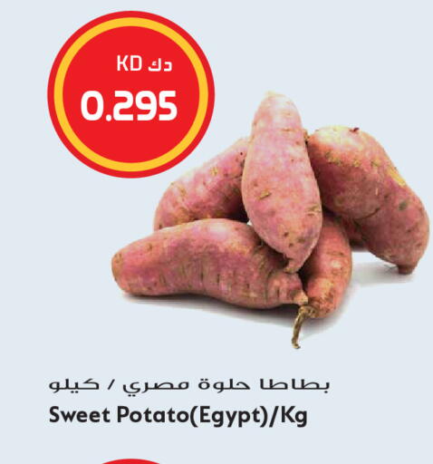 Sweet Potato from Egypt available at Grand Hyper in Kuwait - Kuwait City