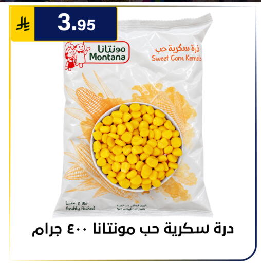 متوفر لدى الحسين توب أب في مملكة العربية السعودية, السعودية, سعودية - الرياض