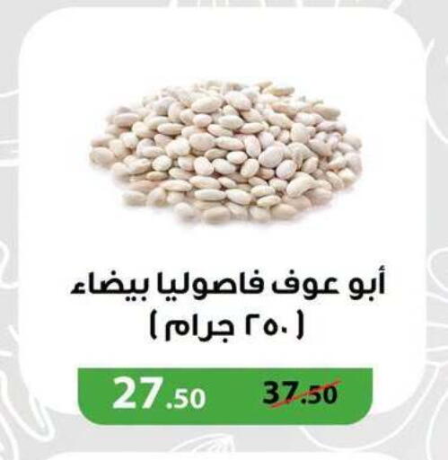 available at Panda  in Egypt - Cairo