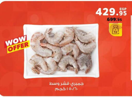 available at بنده in Egypt - القاهرة