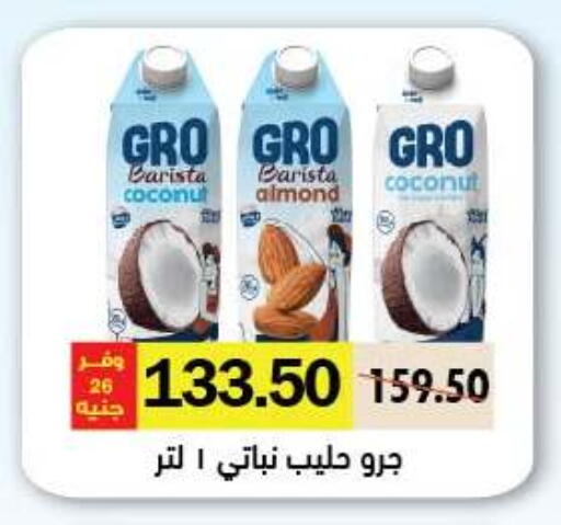 Coconut available at Royal House in Egypt - Cairo