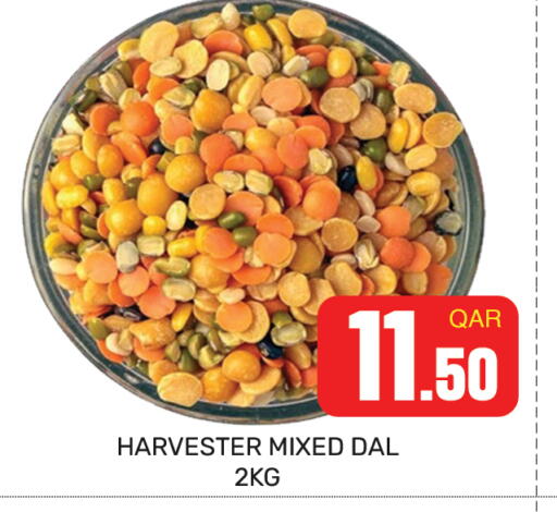 available at مجلس هايبرماركت in قطر - الريان