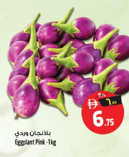 Eggplant متوفر لدى سفاري هايبرماركت في الإمارات العربية المتحدة , الامارات - دبي