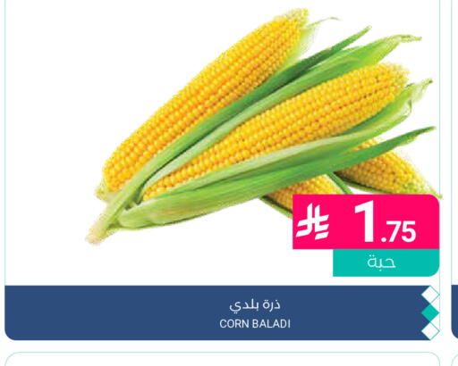 available at Muntazah Markets in KSA, Saudi Arabia, Saudi - Qatif
