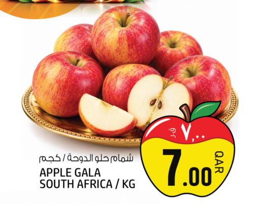 Apple from South Africa available at Kenz Mini Mart in Qatar - Umm Salal