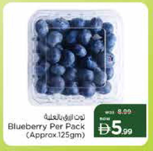 Blueberry BlueBerry available at نستو هايبرماركت in الإمارات العربية المتحدة , الامارات - دبي