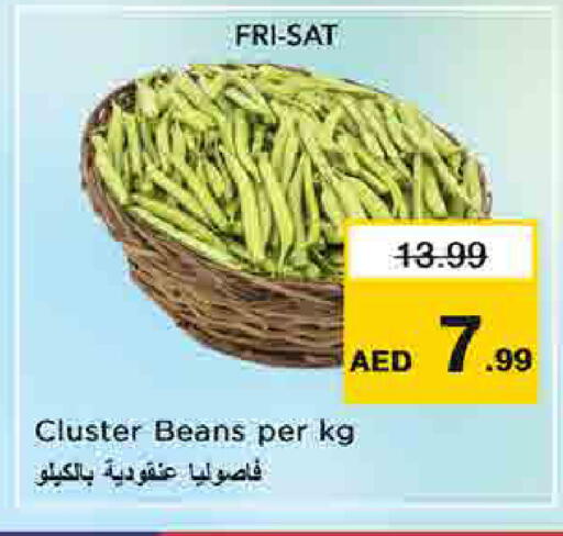 available at نستو هايبرماركت in الإمارات العربية المتحدة , الامارات - أم القيوين‎
