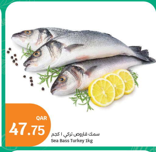 available at سيتي هايبرماركت in قطر - أم صلال