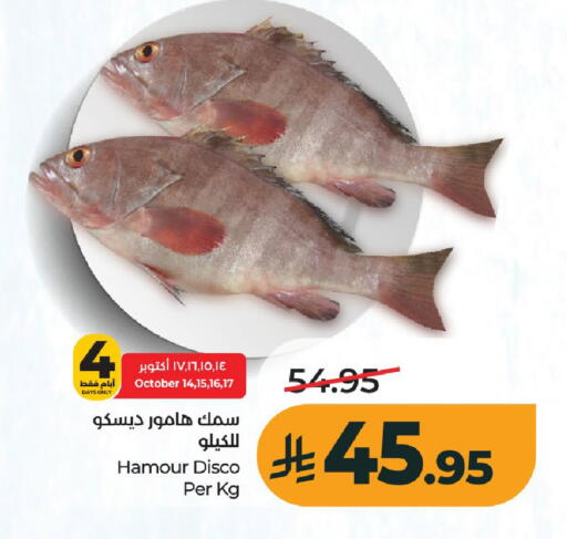 available at لولو هايبرماركت in مملكة العربية السعودية, السعودية, سعودية - عنيزة