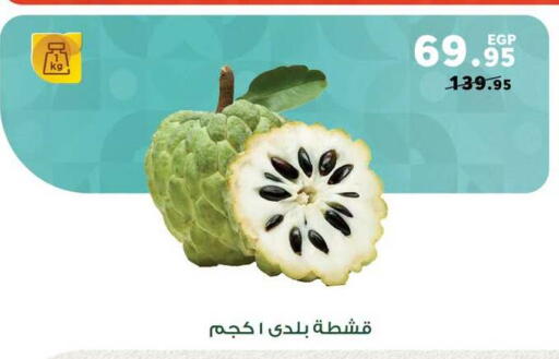 available at بنده in Egypt - القاهرة
