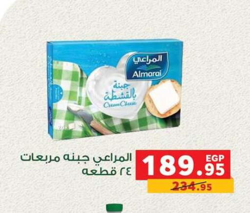 available at Panda  in Egypt - Cairo