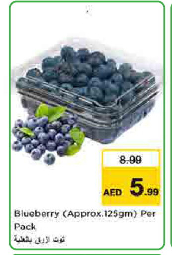 Blueberry BlueBerry available at لاست تشانس in الإمارات العربية المتحدة , الامارات - ٱلْفُجَيْرَة‎