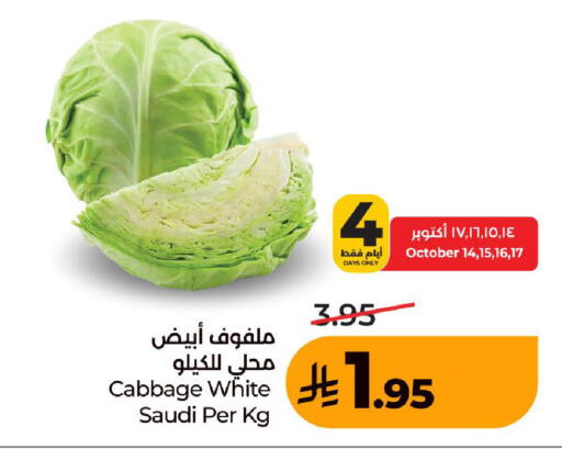 Cabbage from Saudi Arabia available at LULU Hypermarket in KSA, Saudi Arabia, Saudi - Jeddah